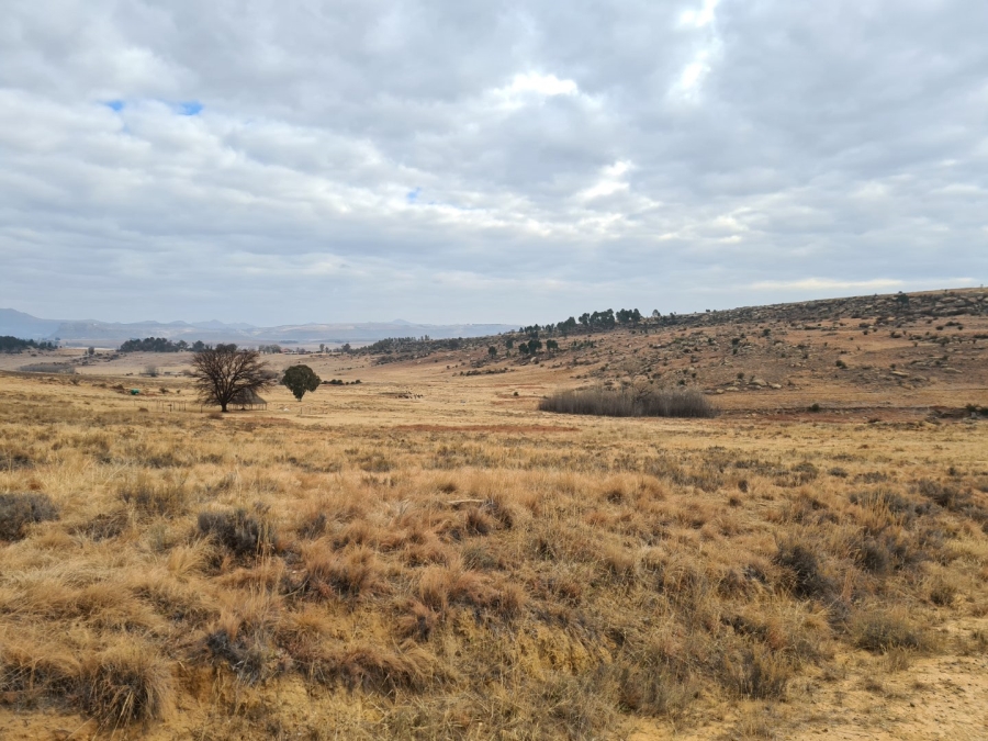  Bedroom Property for Sale in Fouriesburg Free State